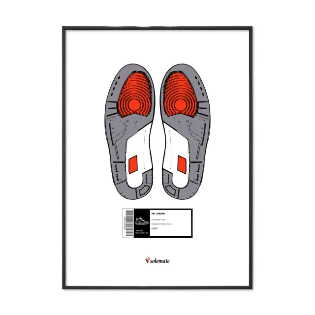 Solemate Footprints AJ3 stampa 25x35cm carta patinata