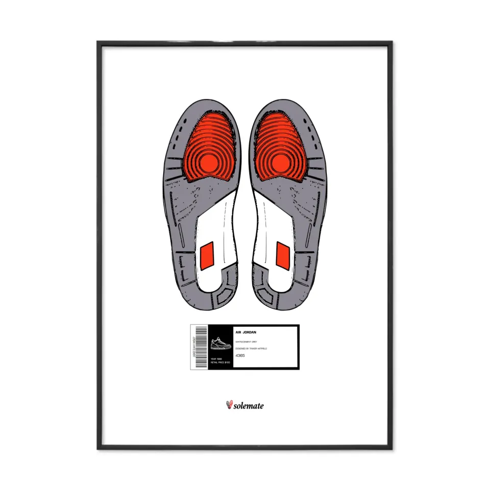 Solemate Footprints AJ3 stampa 25x35cm carta patinata