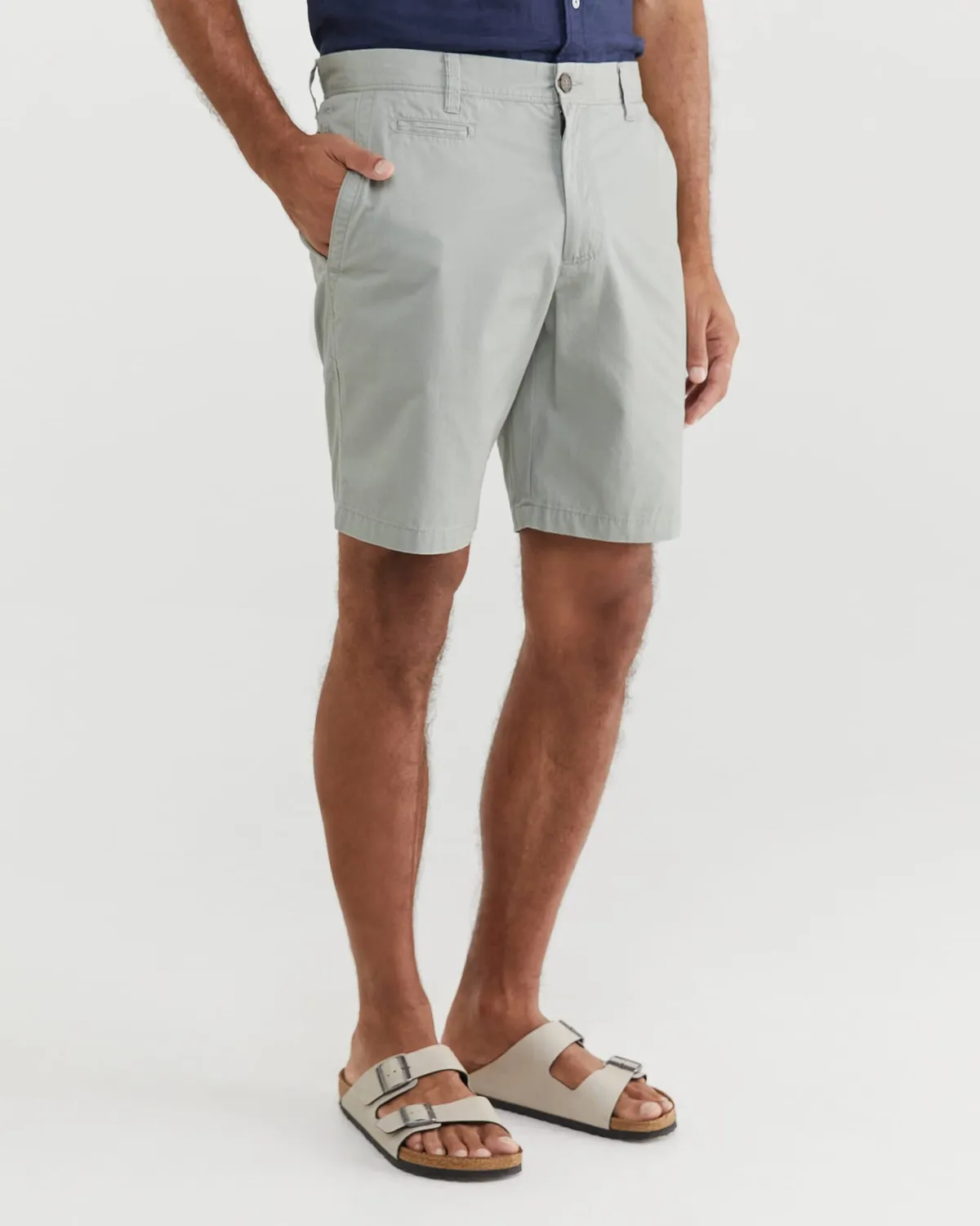Sportscraft Classic Chino shorts cotone uomo ginocchio