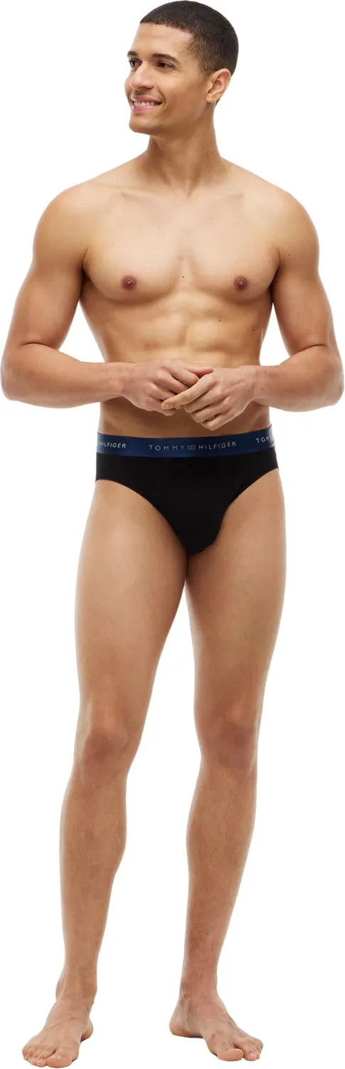 Tommy Hilfiger UM0UM03965 slip uomo L 3 pezzi metallic