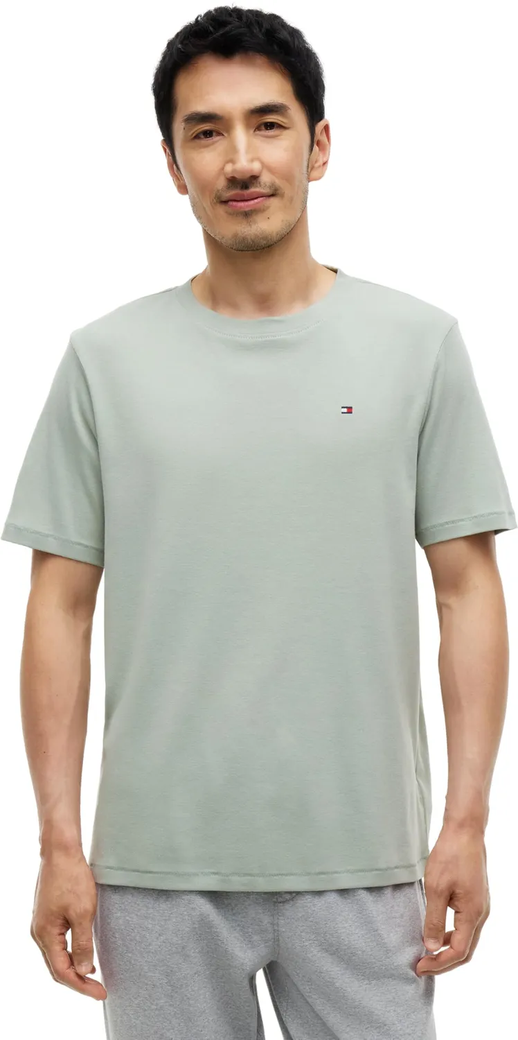 Tommy Hilfiger SS Tee Um0um03995 t-shirt uomo L azzurra