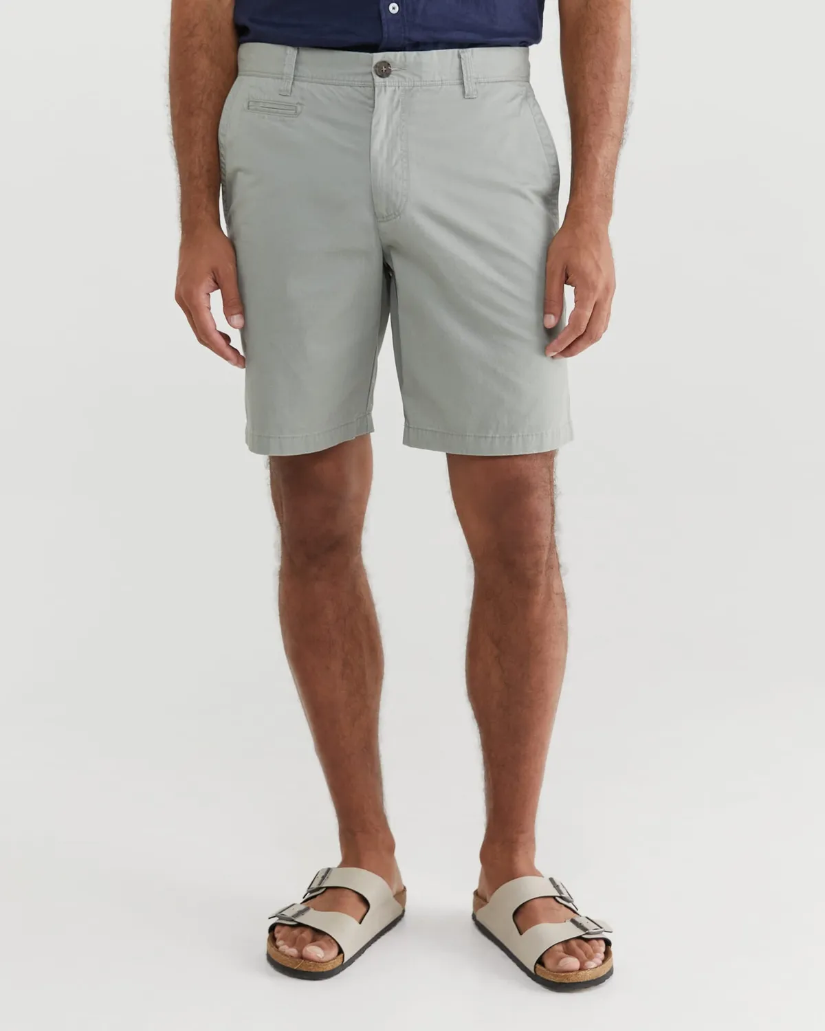 Sportscraft Classic Chino shorts cotone uomo ginocchio