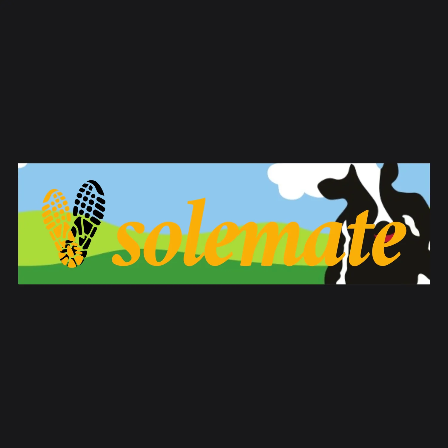 Solemate Box Logo Chunky Dunky t-shirt cotone bio