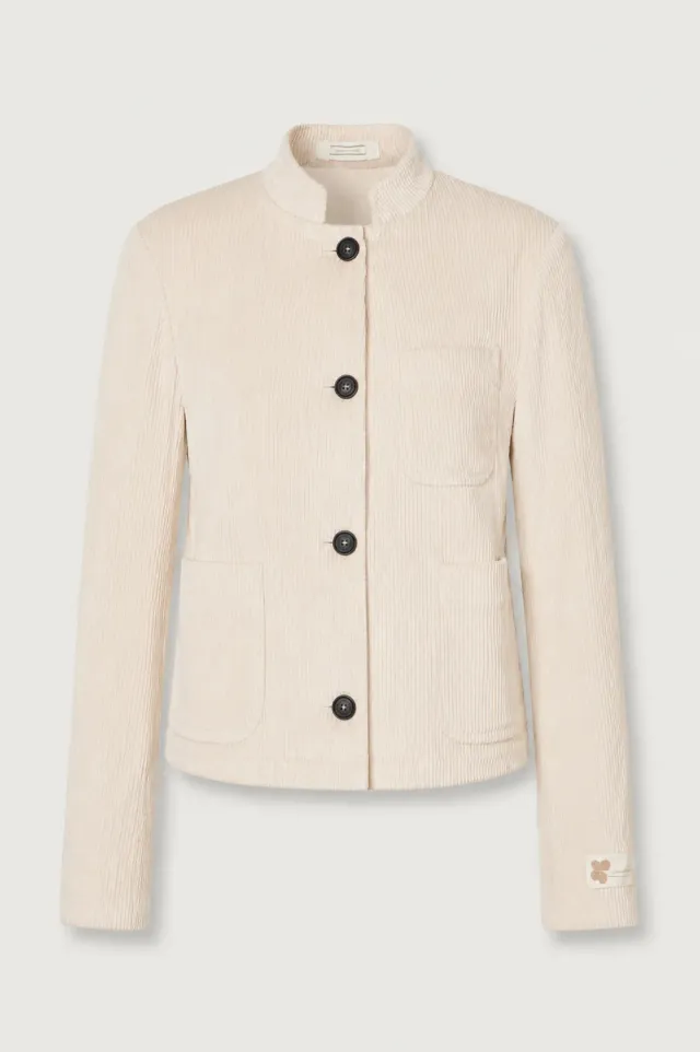 Massimo Alba Agra giacca donna wax velluto cotone