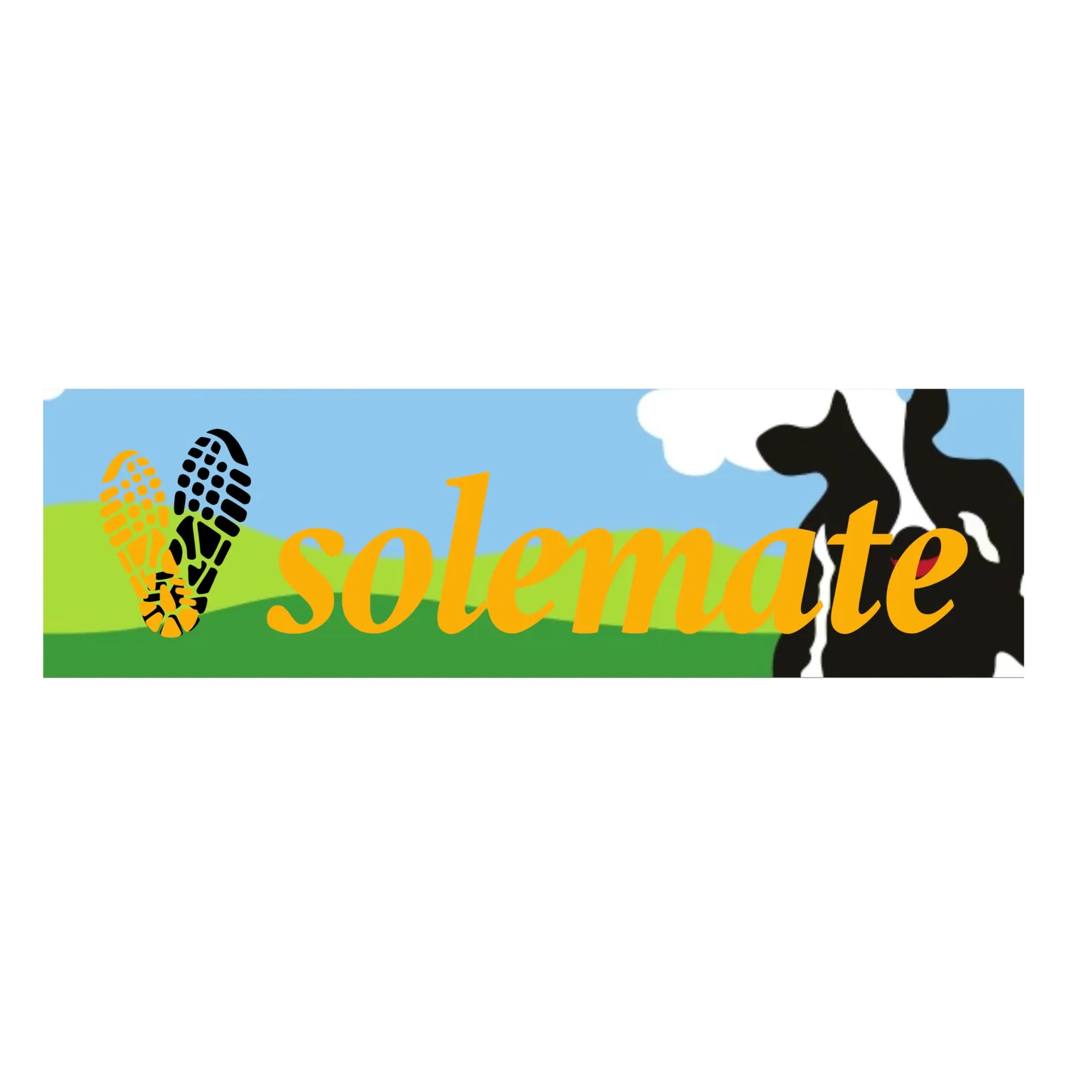 Solemate Box Logo Chunky Dunky t-shirt cotone bio