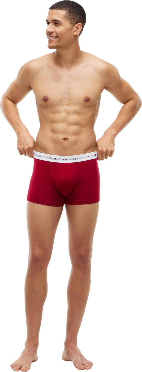 Tommy Hilfiger 3p Trunk Print UM0UM03891 boxer pack 3 uomo