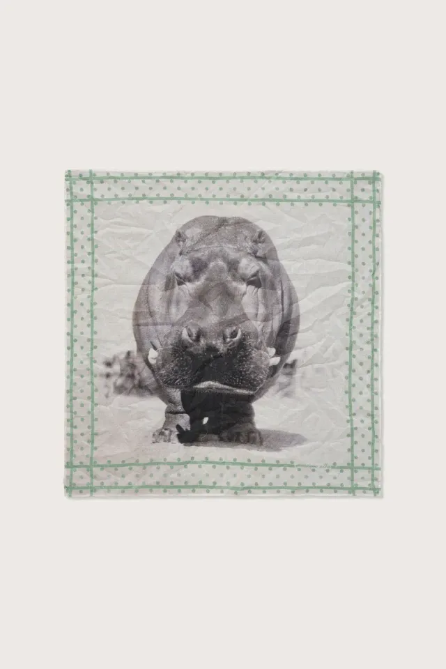 Massimo Alba Hanky1 fazzoletto cotone Fico 45x45 voile
