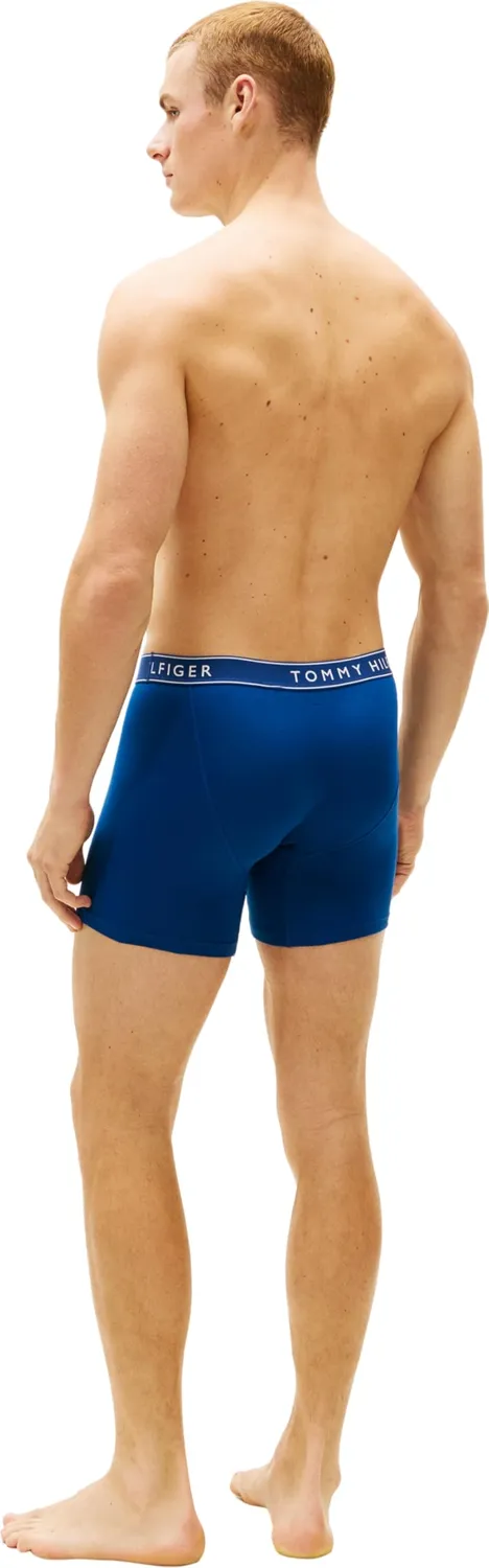 Tommy Hilfiger UM0UM03879 boxer slip L grigio x2 cotone